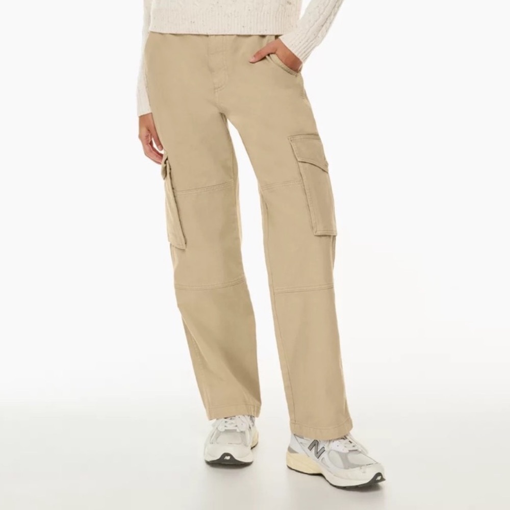 Aritzia Troop Cargo Pants